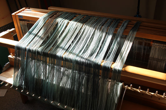 Stillness in the Storm - Vani