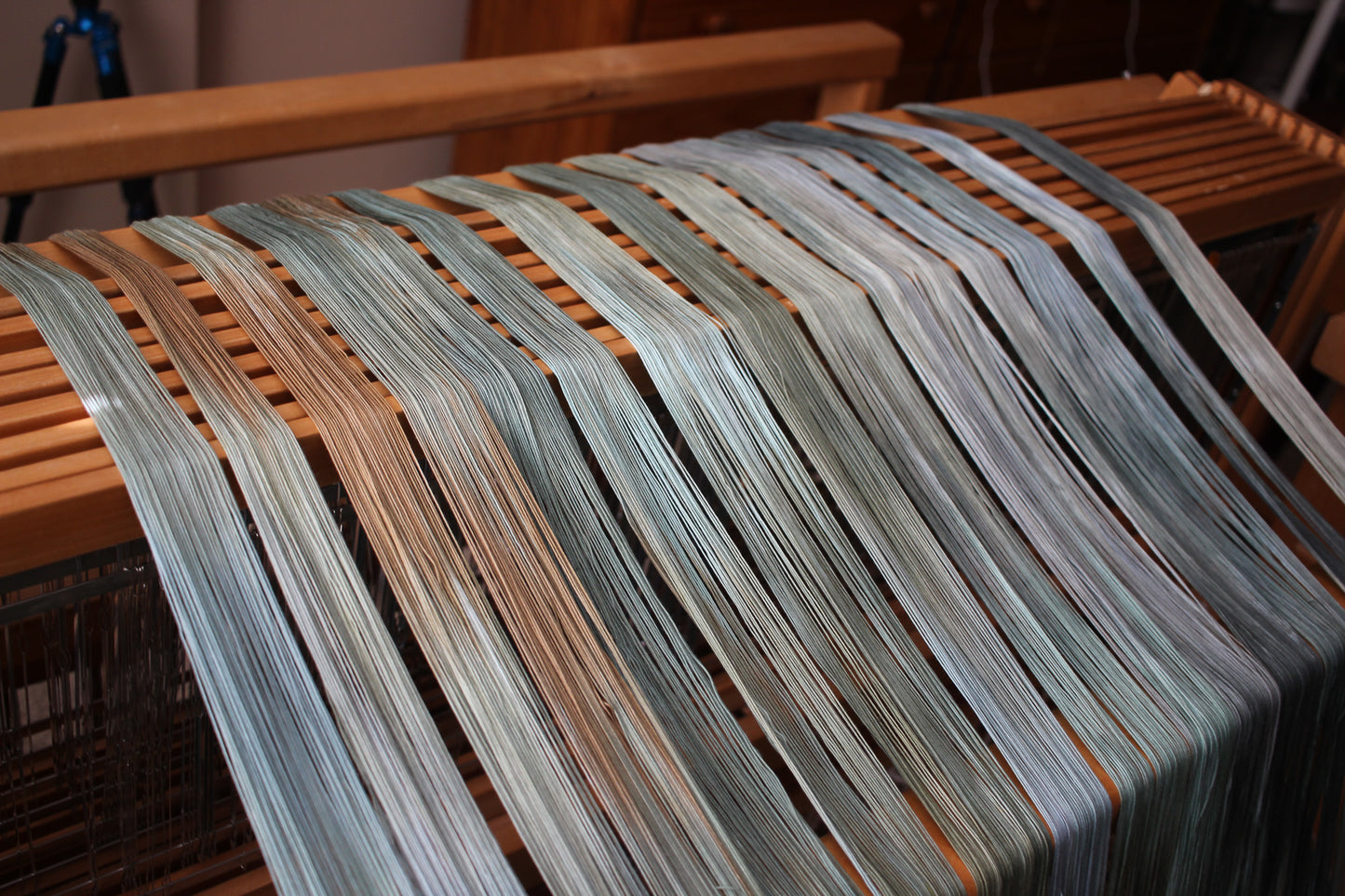 Stillness in the Storm - Phyllis