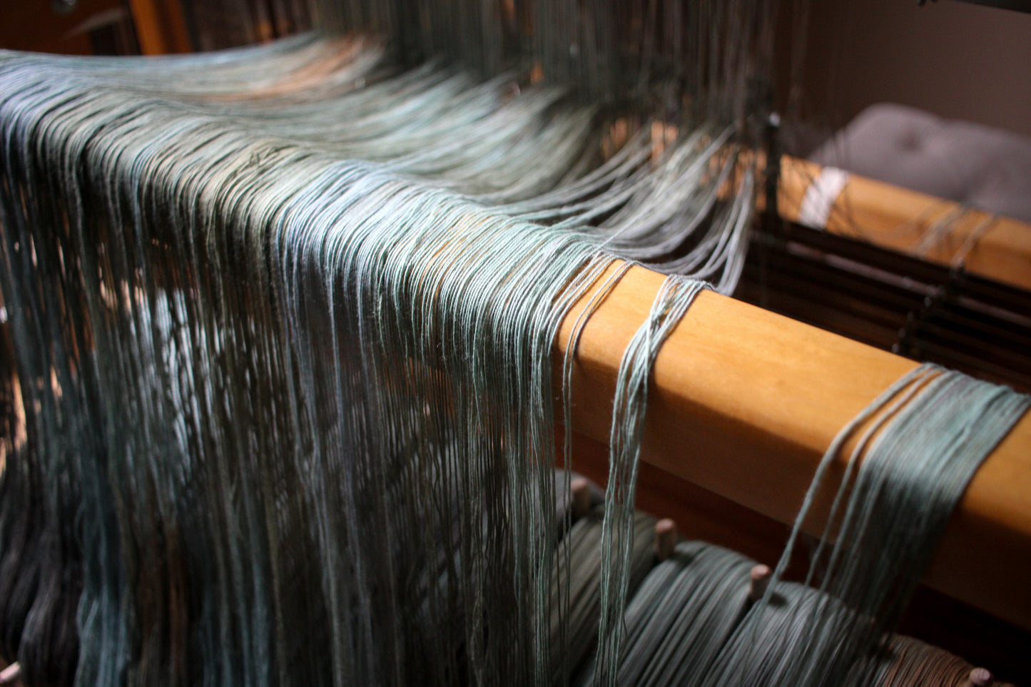 Stillness in the Storm - Amanda