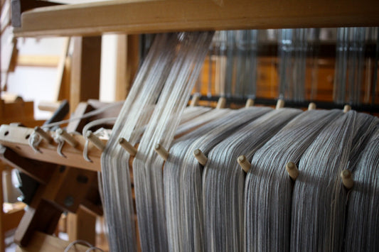 Blank Slate - Venessa