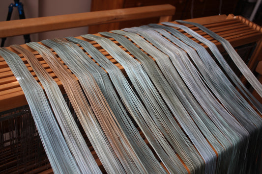 Stillness in the Storm - Phyllis