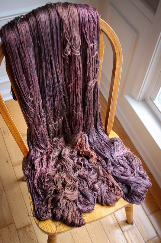 Cup of Stars - Amanda