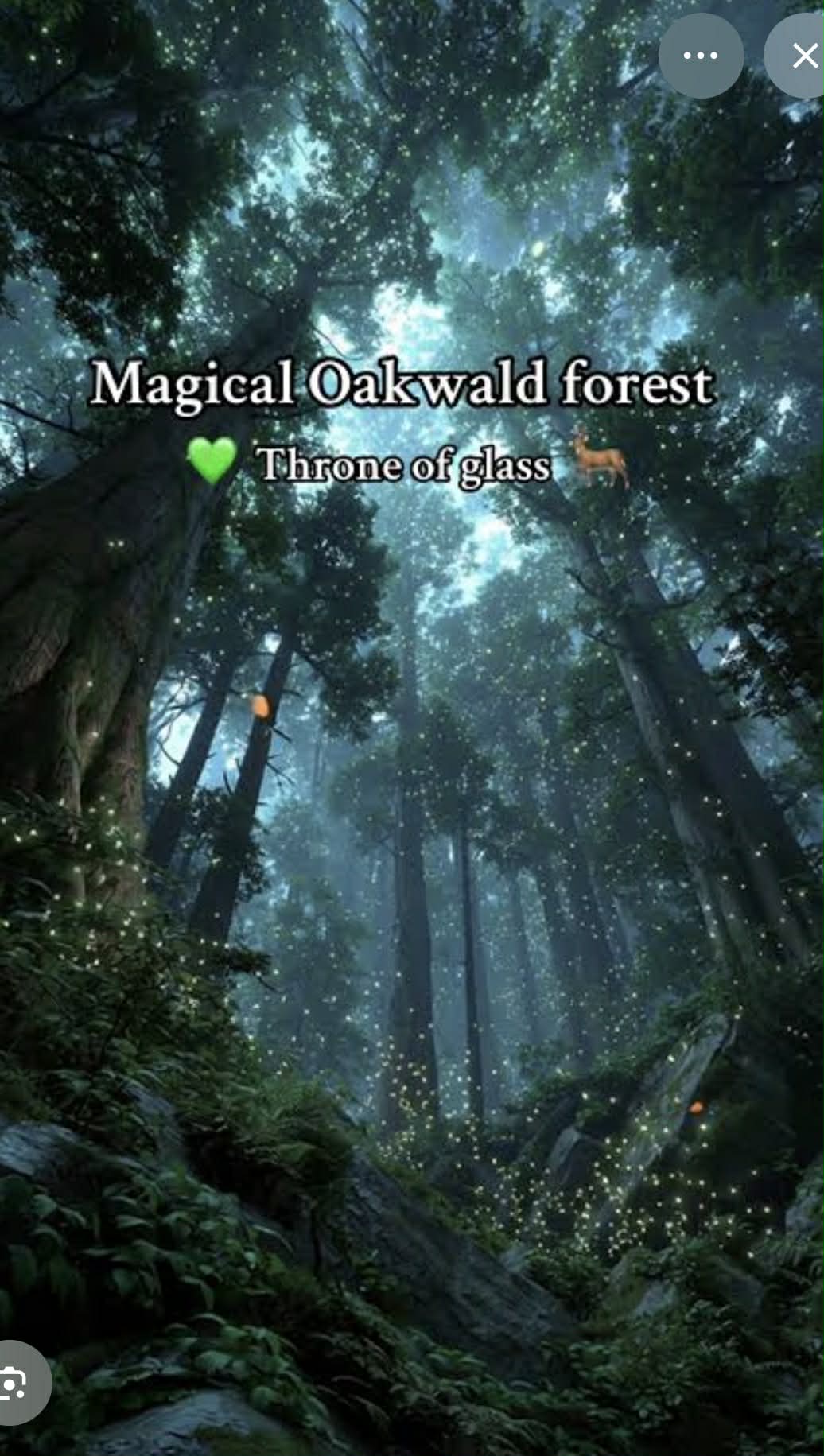 Oakwald Forest - Kennedy